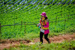 BIB: 
                            <button type="button" onclick="openModal(19164332)" class="btn btn-primary btn-sm float-right btn-popup" data-toggle="modal" data-target=".modal-high-quality">
                        <i class="fas fa-shopping-cart"></i> Add to Cart
                    </button>
                                            <button type="button" onclick="isThisMe(19164332, true)" class="btn btn-success btn-sm float-right btn-popup btn-isme hidden" data-toggle="tooltip" data-placement="bottom" title="นี่คือรูปของคุณใช่ไหม คลิกที่นี่เพื่อเอาเข้าอัลบั้ม">
                        <i class="fas fa-plus"></i> Add to album
                    </button>
                    <button type="button" onclick="isThisMe(19164332, false)" class="btn btn-warning btn-sm float-right btn-popup btn-isnotme hidden">
                        <i class="fas fa-ban"></i> Remove from album
                    </button>